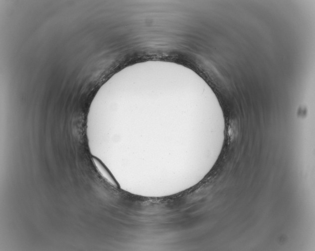 X0000089830867200707262022