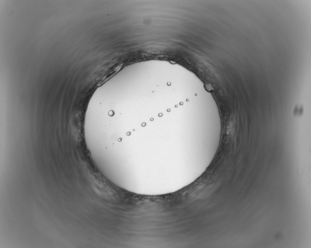 X0000089830868200707262022