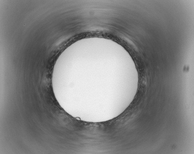 X0000089830869200707262022
