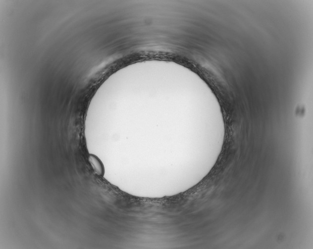 X0000089830870200707262022