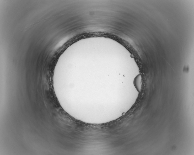 X0000089830871200707262022