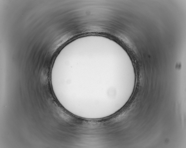 X0000089830873200707262022
