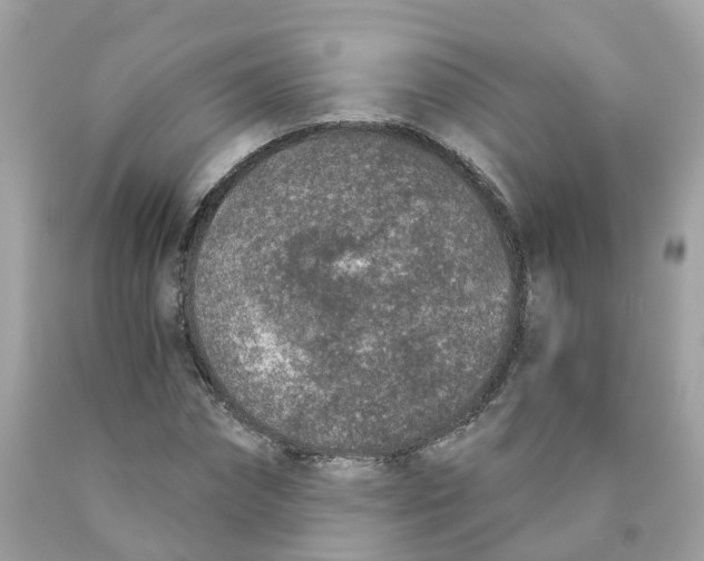 X0000089830874200707262022