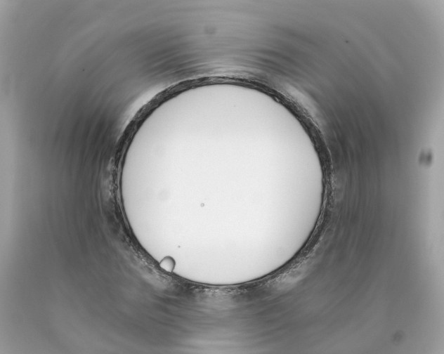X0000089830875200707262022