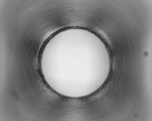 X0000089830876200707262022