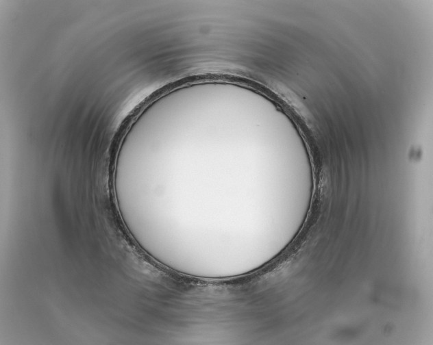 X0000089830877200707262022
