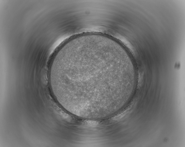 X0000089830878200707262022