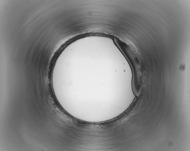X0000089830880200707262022