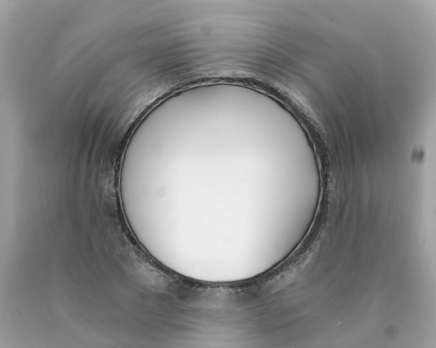 X0000089830881200707262021