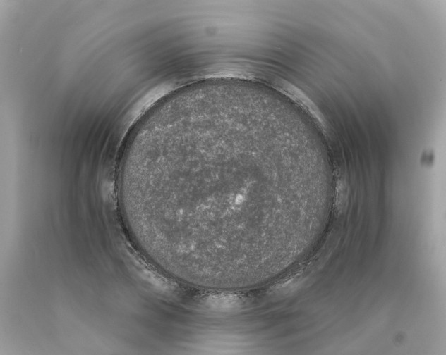 X0000089830882200707262021
