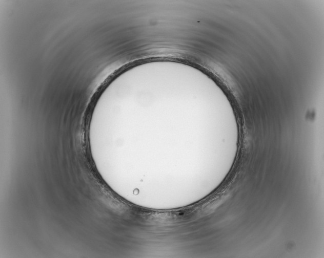 X0000089830883200707262021