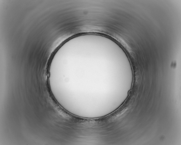 X0000089830885200707262021