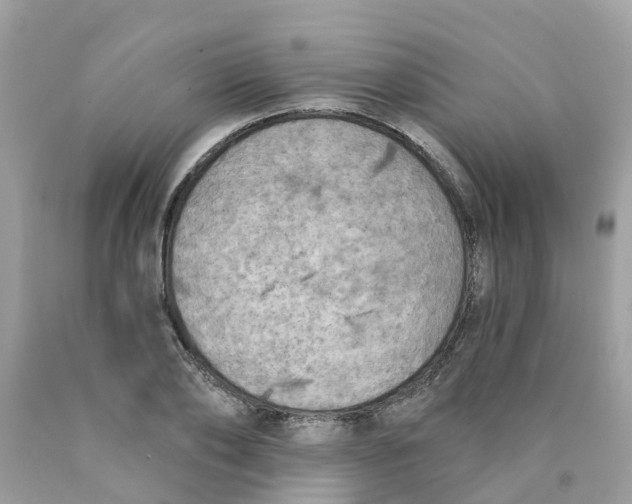 X0000089830886200707262021