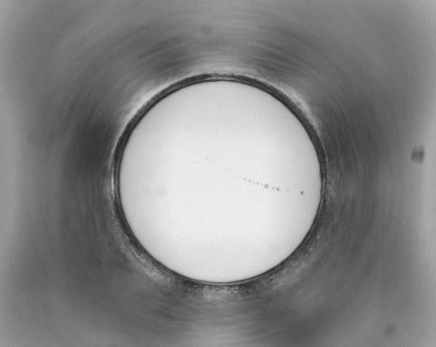 X0000089830887200707262021
