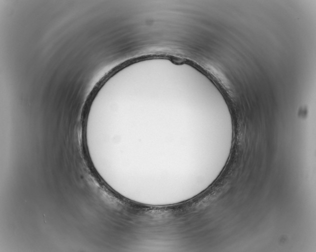 X0000089830888200707262021