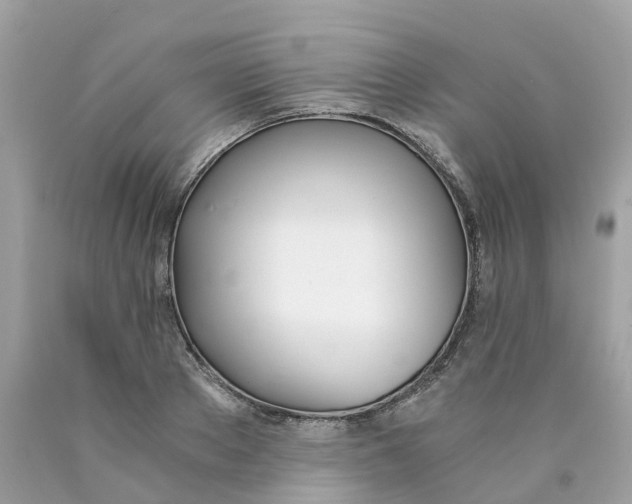 X0000089830889200707262021