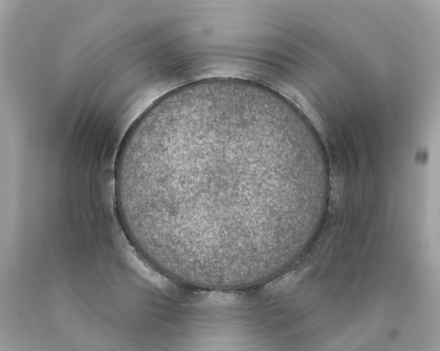 X0000089830890200707262021