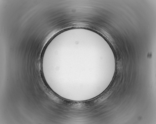 X0000089830891200707262021