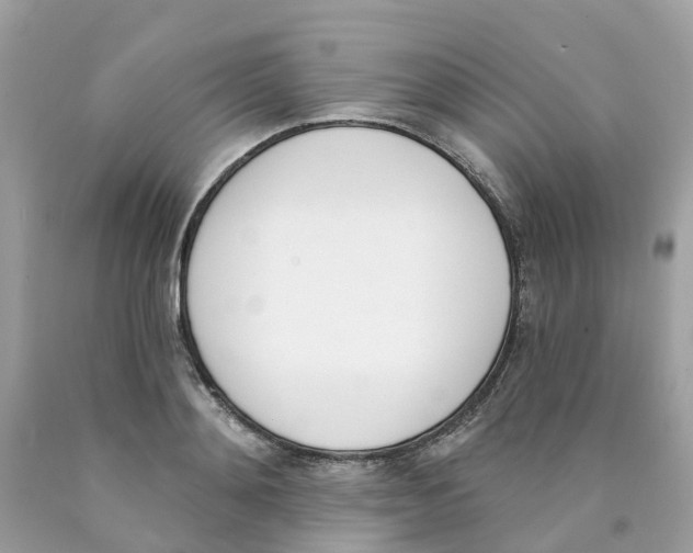 X0000089830892200707262021