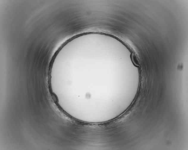 X0000089830896200707262021