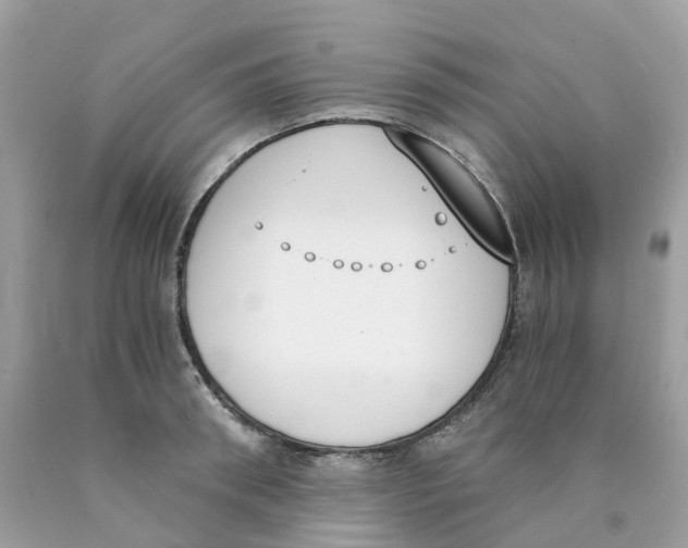 X0000089830898200707262021