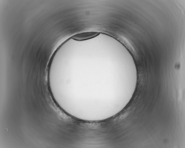 X0000089830900200707262021