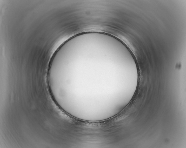 X0000089830901200707262021