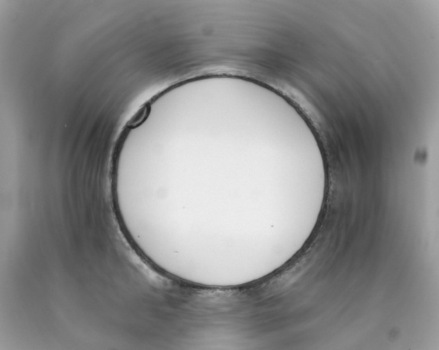 X0000089830902200707262021