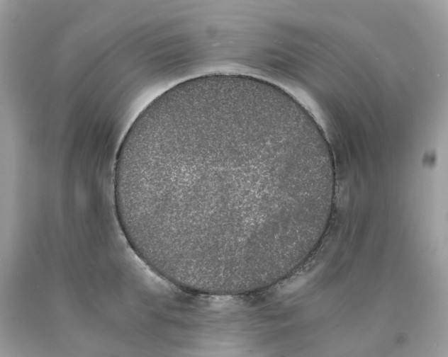 X0000089830903200707262021