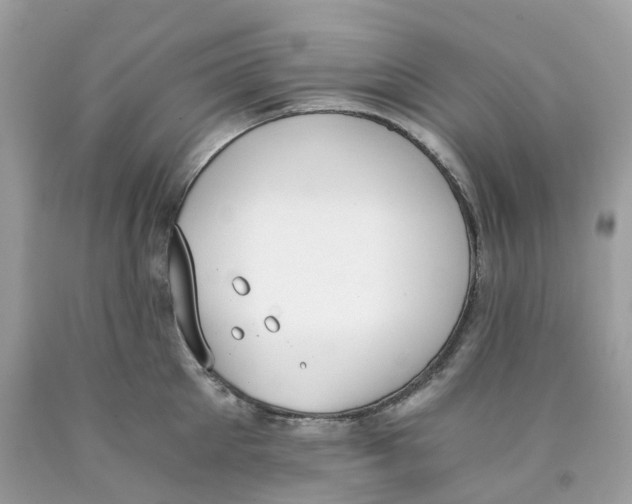 X0000089830905200707262021