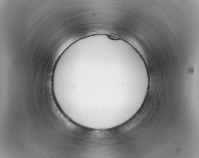 X0000089830906200707262021
