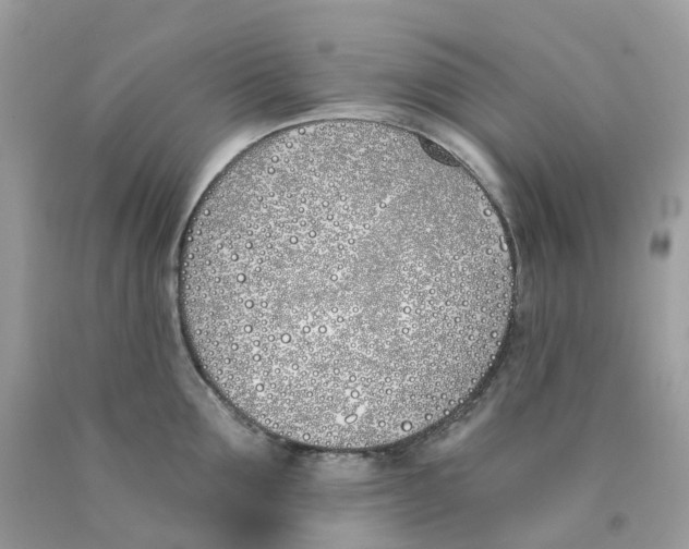 X0000089830907200707262021