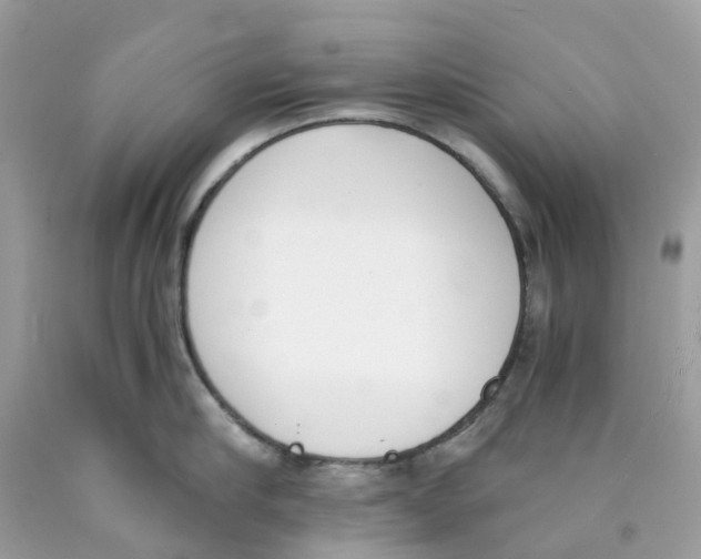 X0000089830910200707262021