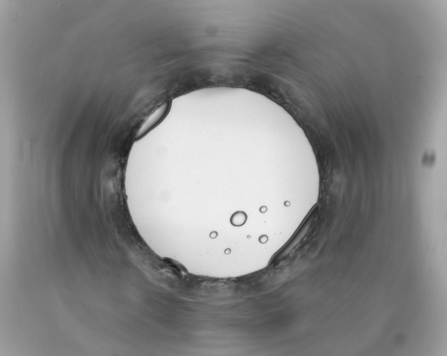 X0000089830914200707262021