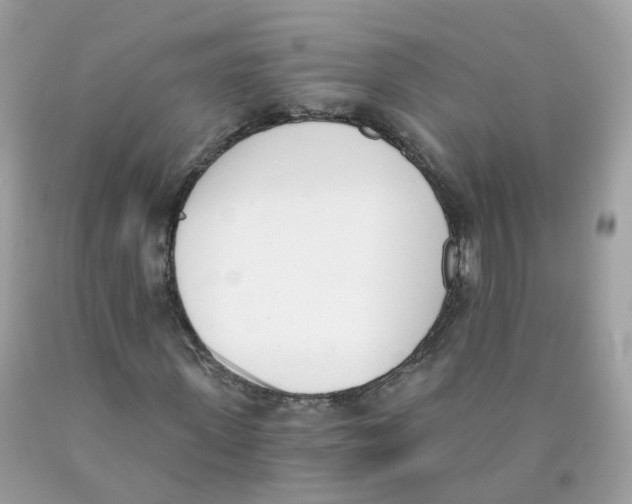 X0000089830915200707262021