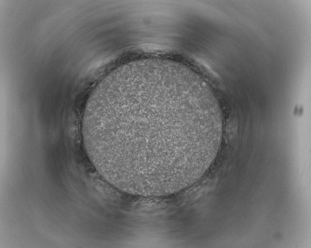 X0000089830917200707262021