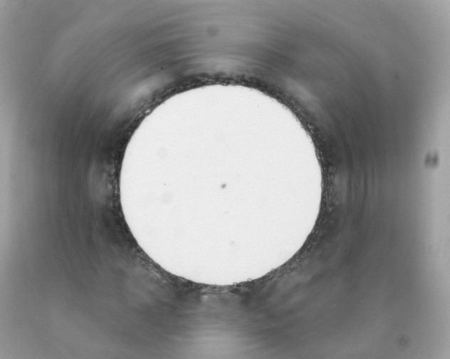 X0000089830918200707262021