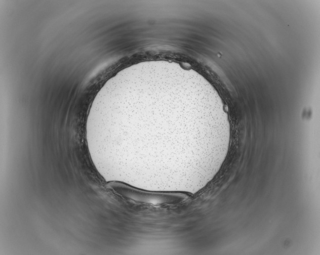 X0000089830919200707262021