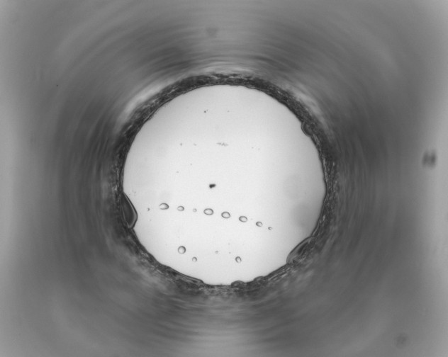 X0000089830920200707262021