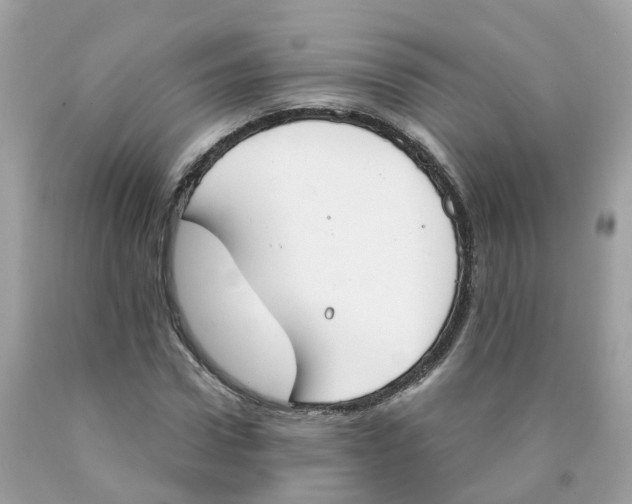 X0000089830922200707262021