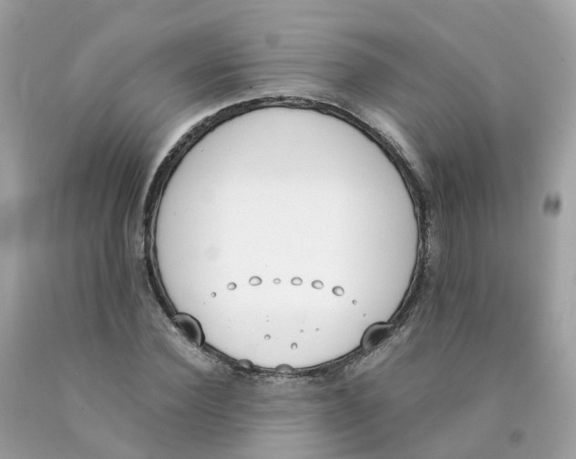 X0000089830924200707262021