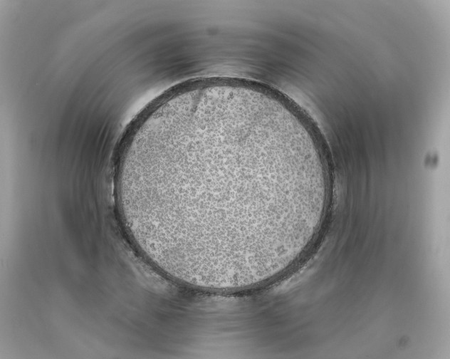 X0000089830925200707262021