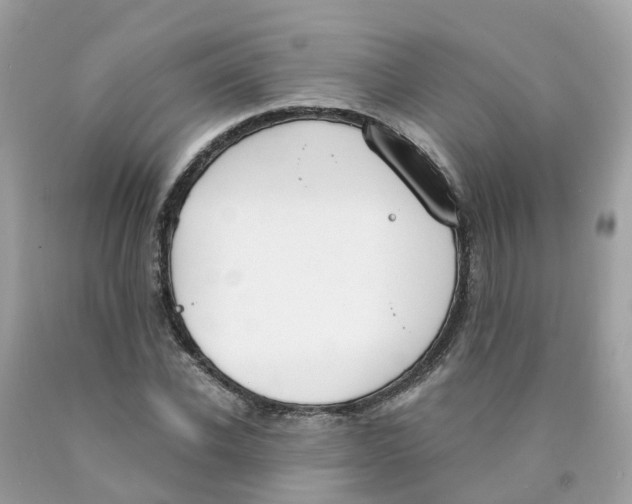 X0000089830926200707262021