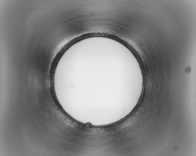 X0000089830927200707262021