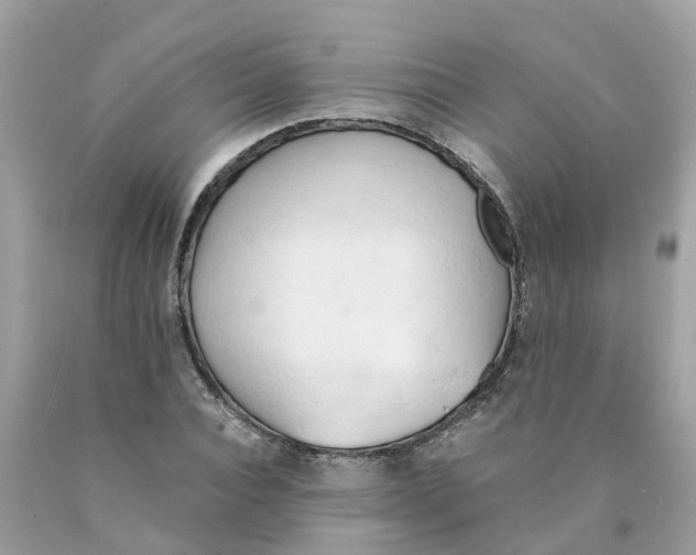 X0000089830928200707262021