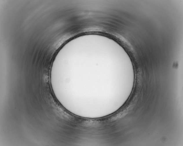 X0000089830929200707262021