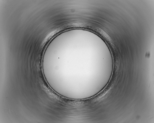 X0000089830930200707262021