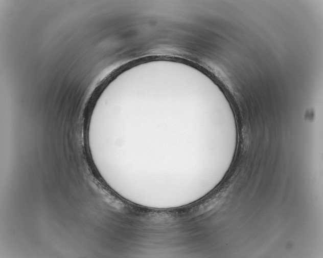X0000089830931200707262021