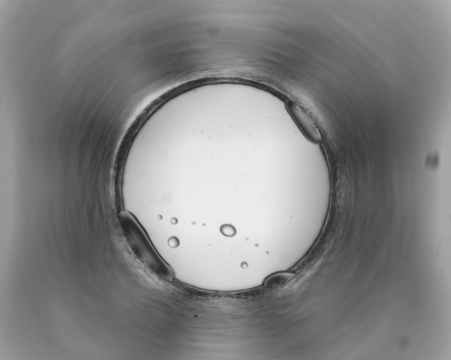 X0000089830932200707262021