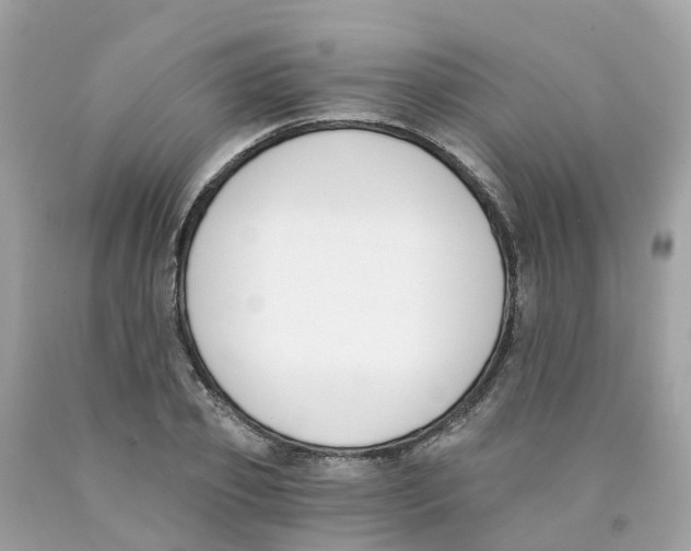 X0000089830933200707262021